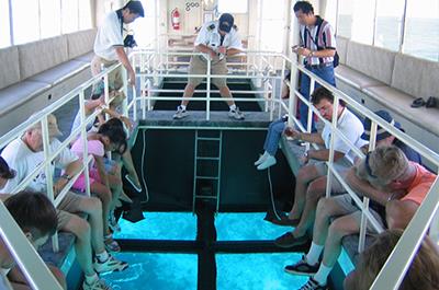 Glass bottom boat excursion in Sharm
